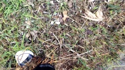 New white pumas muddy. Converse lost in the mud.