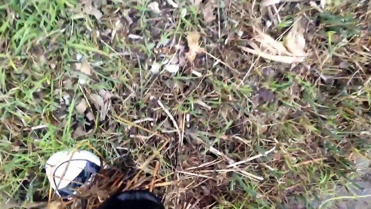 New white pumas muddy. Converse lost in the mud.