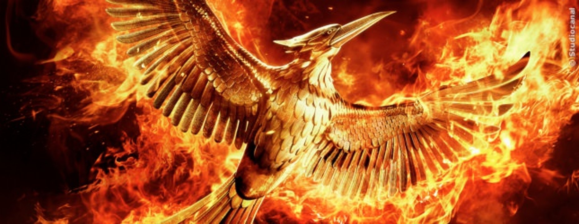 3-Finger-Gruss aus Panem geht um die Welt