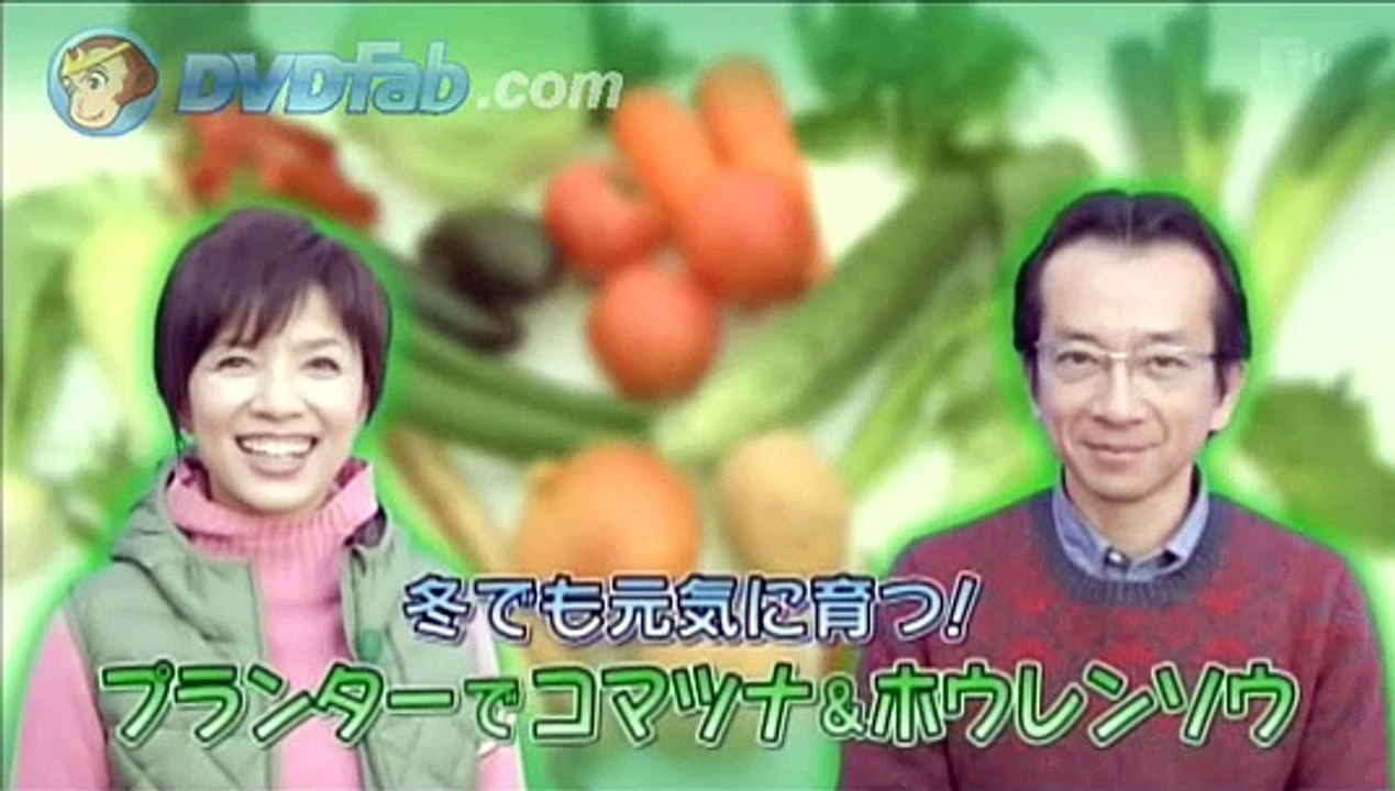 趣味の園芸やさいの時間「ペットボトル菜園」 2/2