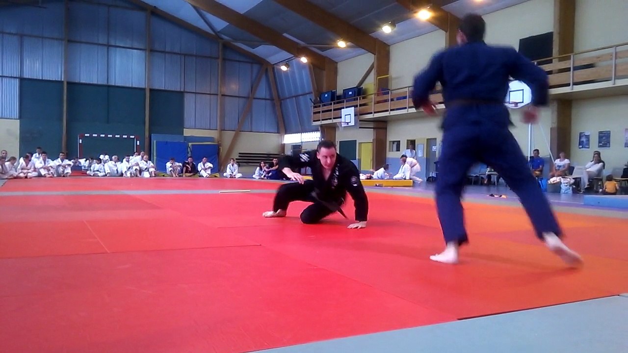 ASC JUJITSU CHARTRES DEMONSTRATION DE JULIEN ET THOMAS CEINTURE MARRON