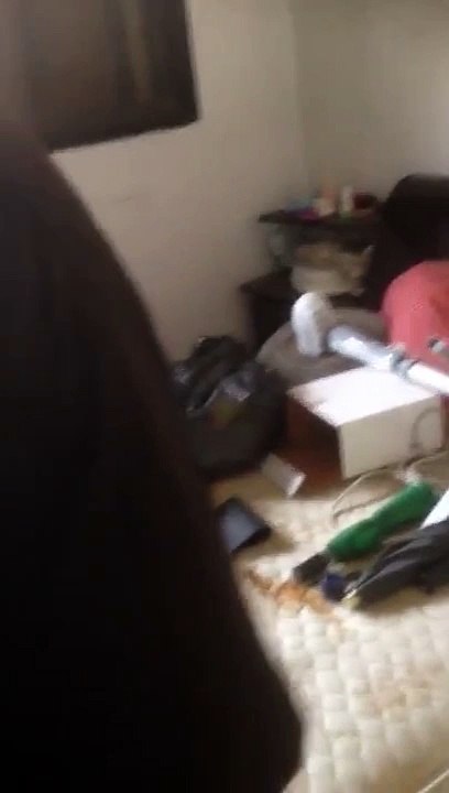 פינוי דירה בחינם עם חברת שטיבל פינוי דירה