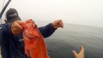 Pacific Dawn Sportfishing - 04-22-2012 Channel Islands - Santa Rosa Island