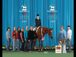 Skys Blue Boy - AQHA Stallion