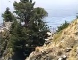 California Condors on Highway One, Big Sur