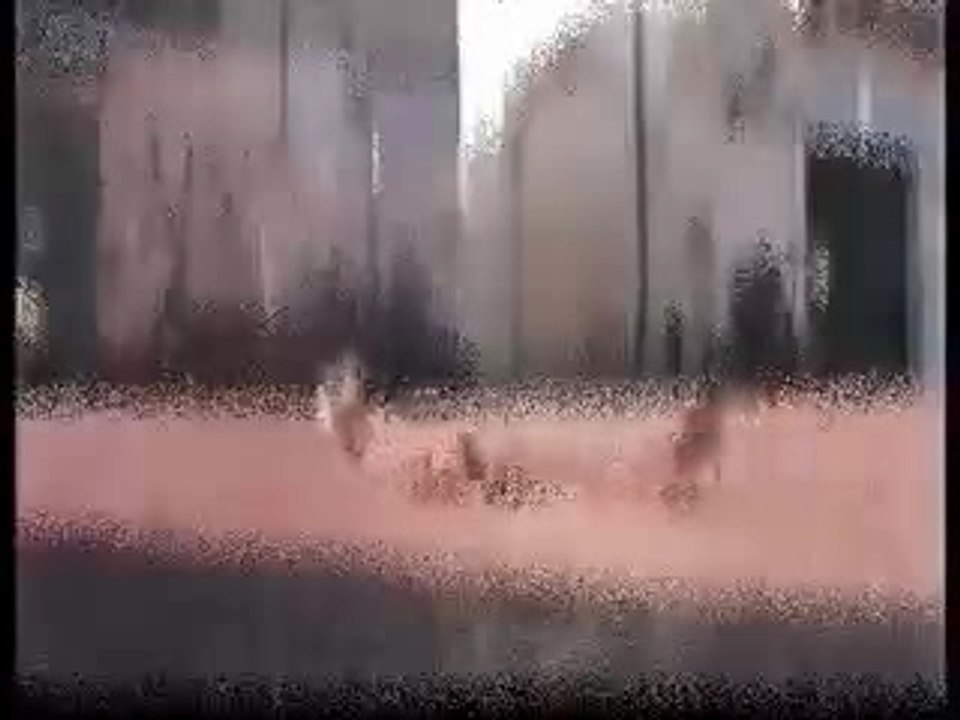 Paillhasses