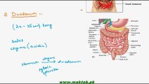 FSc Biology Book1, CH 12, LEC 13; Human Digestive System- Digestion in Small Intestine