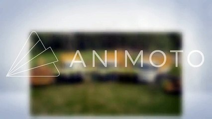 Jims Tree Removal Sydney