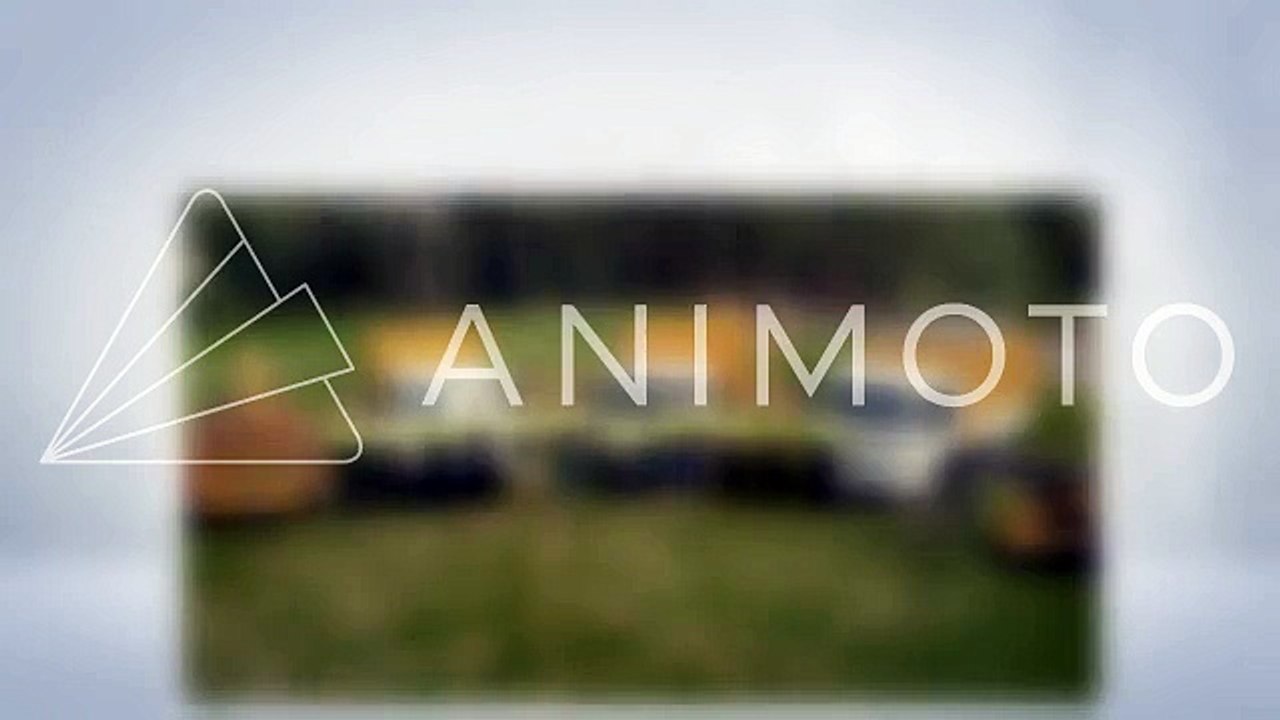 Jims Tree Removal Sydney