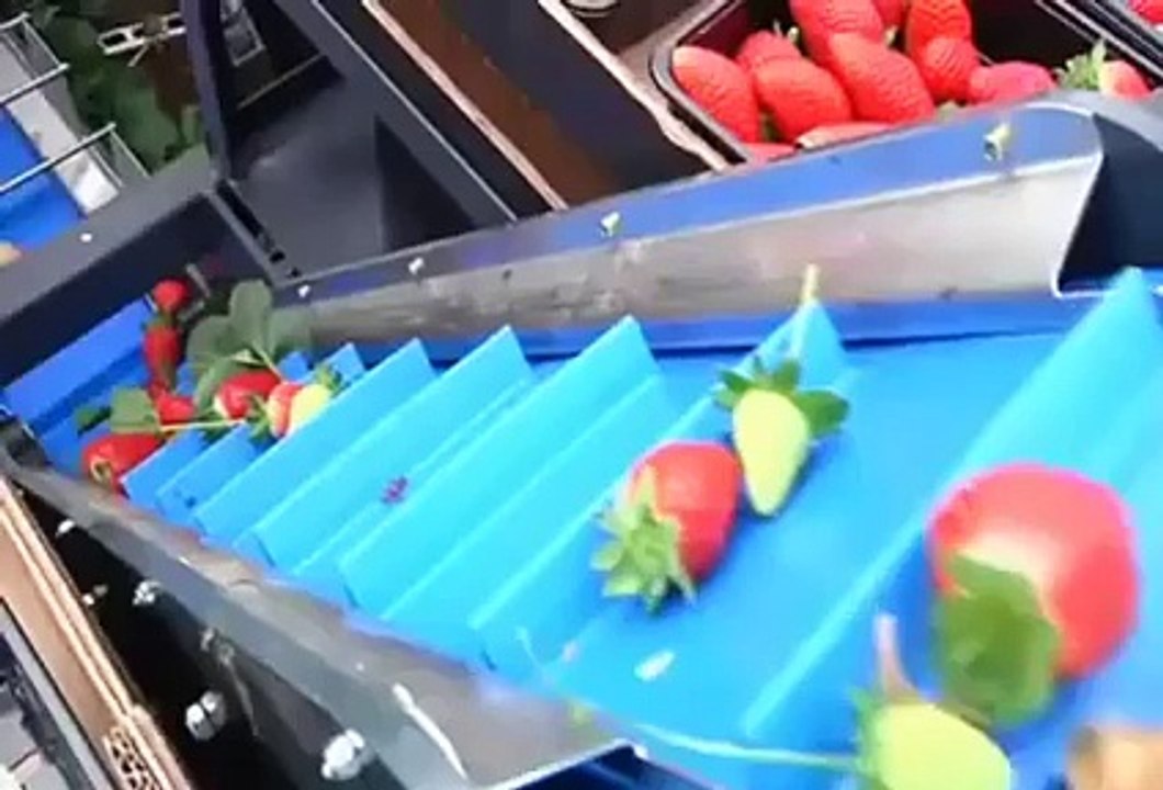 great technology to collect the fruits.