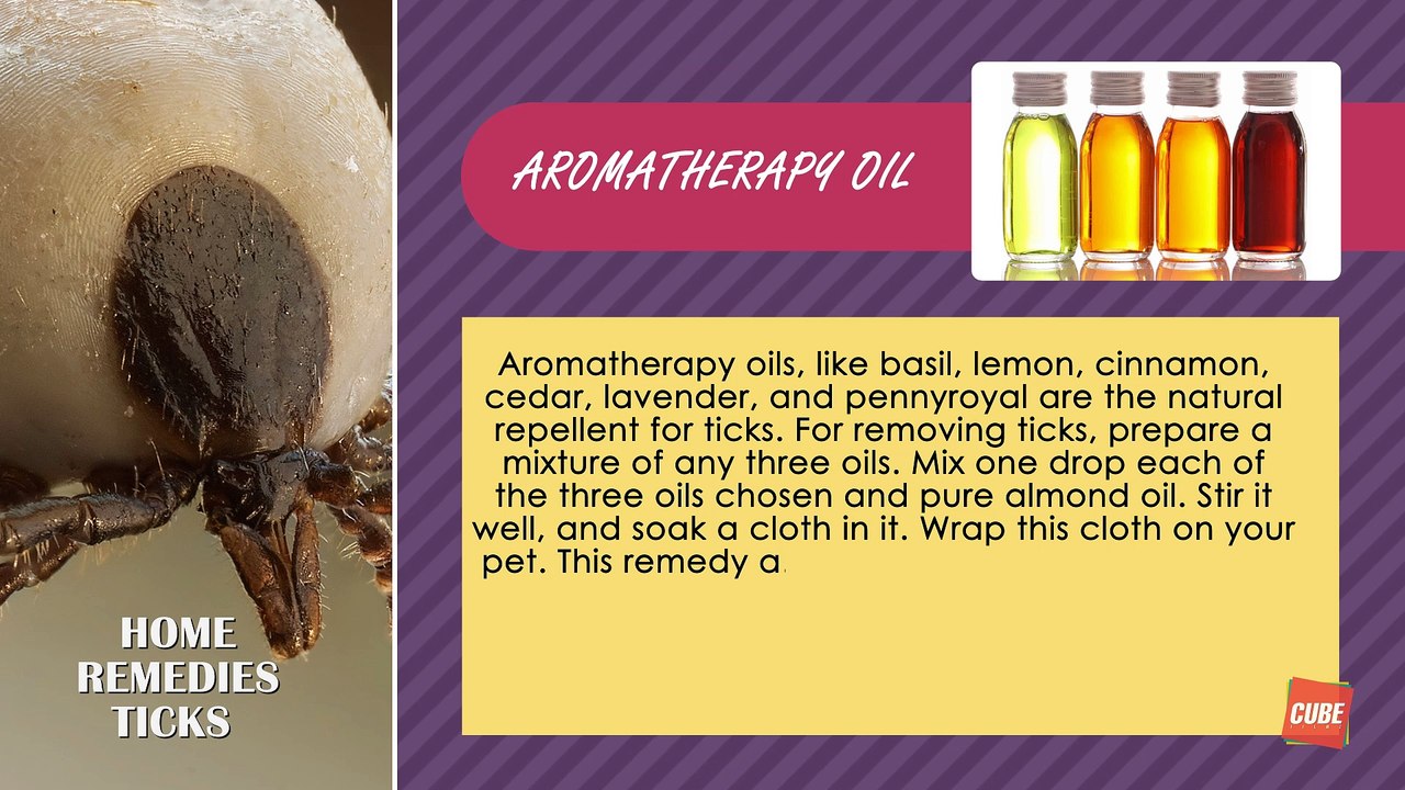 Ticks Home Remedies Health Tone Tips Cube Films