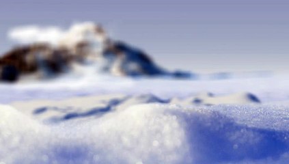 After Effects Project Files - Spring Logo reveal - VideoHive 10772927