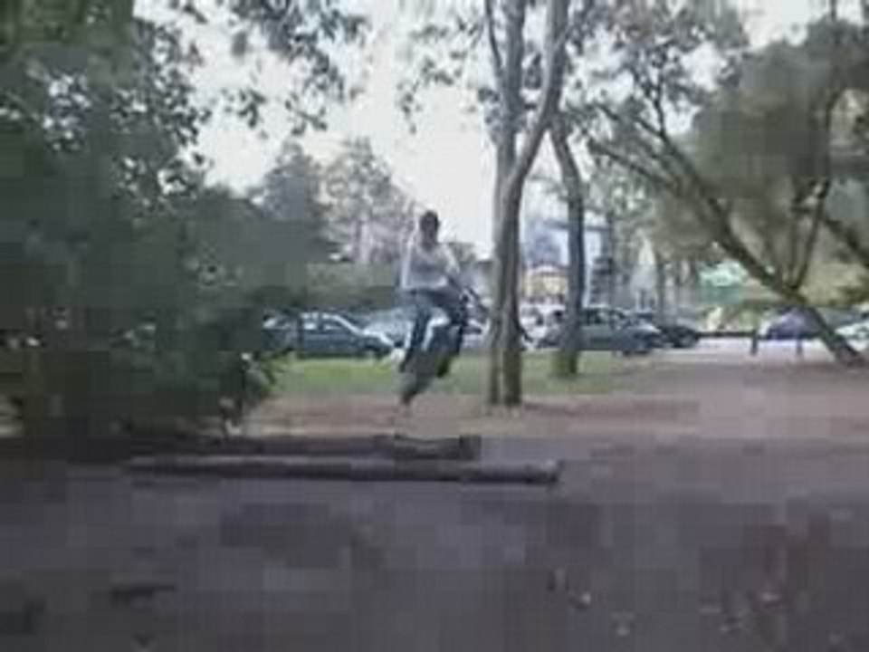 Ride to the wood