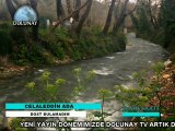 Celaleddin Ada _ Dost Bulamadım