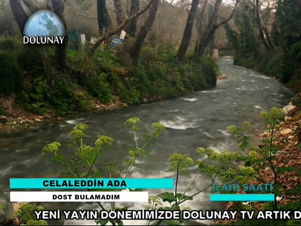 Celaleddin Ada _ Dost Bulamadım