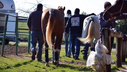 Αγώνας Κυπέλλου Ιππικής Αντοχής 2015 - Kubikova Lucie II