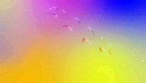After Effects Project Files - Colorful Vane Logo - VideoHive 9455309