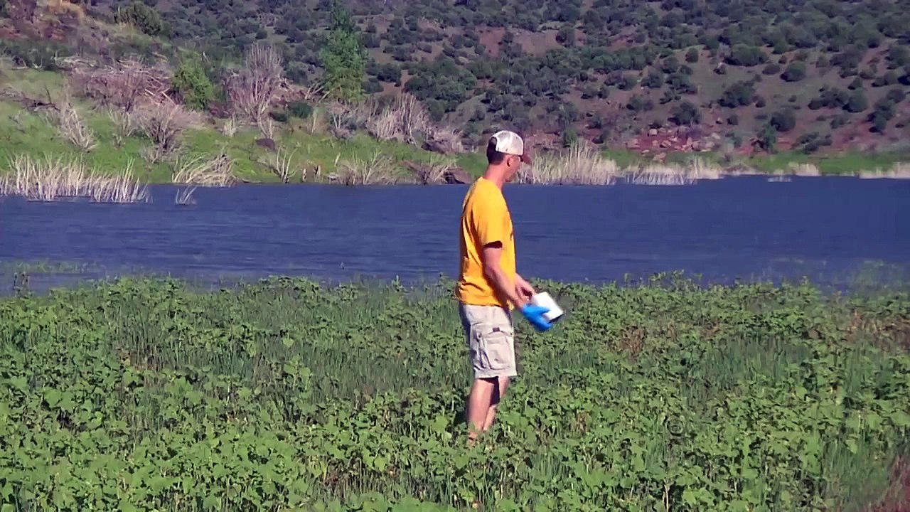 Series of Sodium Explosions in Water