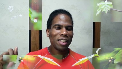 # 45 . Un Martiniquais au Japon : Visite chez le dentiste  !