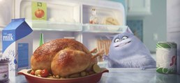 Comme des bêtes - Bande-annonce [VF|HD] (Animation / The Secret Life of Pets / Jenny Slate, Kevin Hart)