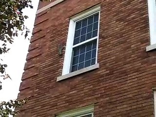 Crazy Squirrel At Elmhurst College