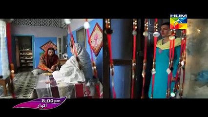 Digest Writer OST Drama on HumTV - Full Song