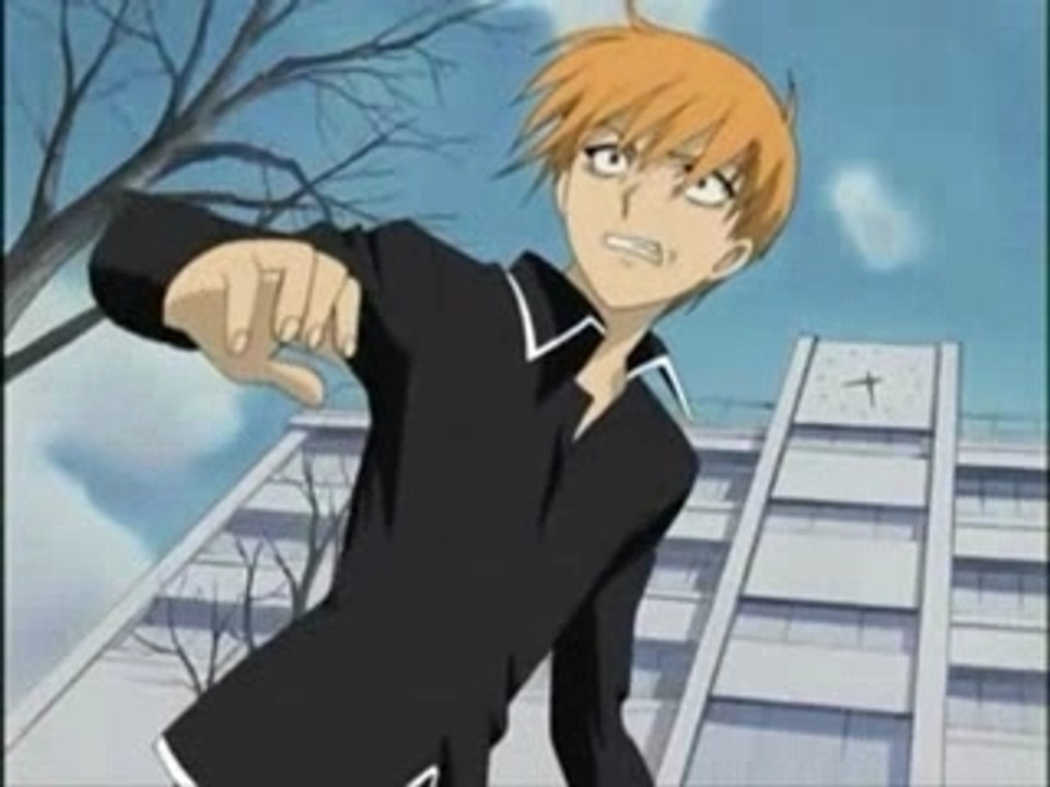 fruits basket AMV
