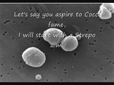 The Gram Positive Bacteria Song