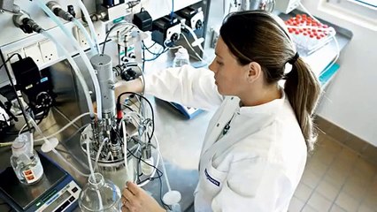 Las enzimas para queso - El coagulante CHY-MAX® M