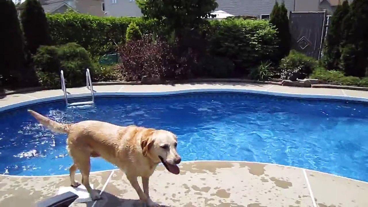 Belle qui se beigne dans piscine