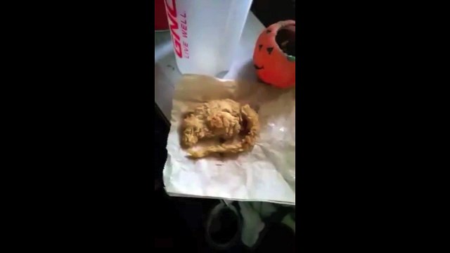 KFC fried chicken rat is a fake... Are you sure?