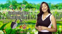 Dr. Lisa's Health Tip: Mississauga Chiropractor Dr. Lisa - Gardening Tips