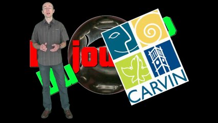 Le journal de la baraque à flip.