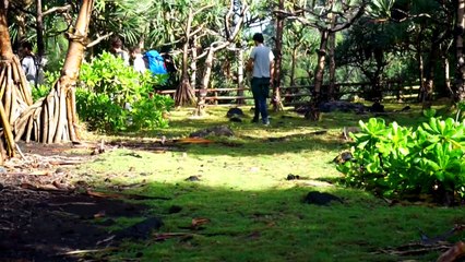 Slackline extrême sur l'île de La Réunion