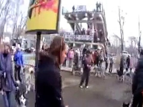 Послушание. Сибирский хаски, аляскинский маламут.