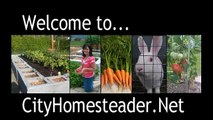 CityHomesteader interview with Hestia Home Biogas Digester