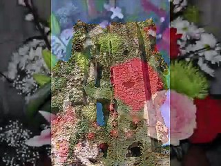 Julien Clerc   Les jours de joie