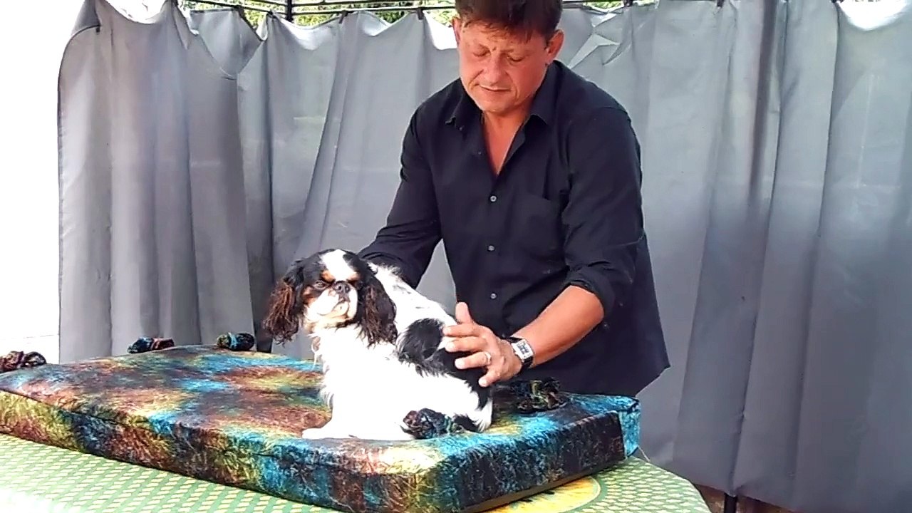 IDRIJA DE LA VERTE ALBION