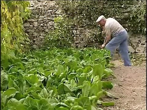 Zu Tisch in der Normandie Teil 2/2