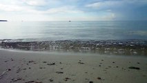 Merevaade ja -hääled   Roondla rand