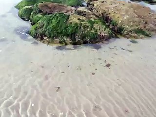Histoires littorales fait escale à Fort Bloqué