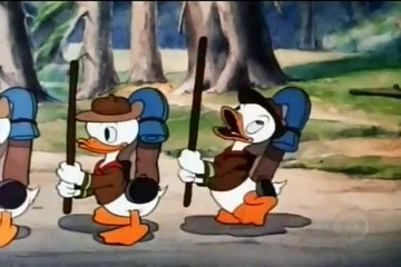 Pato Donald Os Três Escoteiros