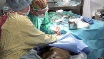 Bazingo the Sea Lion Flipper Amputation Surgery
