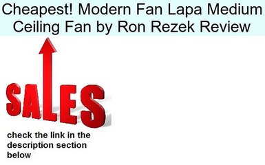 Modern Fan Lapa Medium Ceiling Fan by Ron Rezek Review
