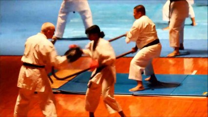 The Power of Goju-Ryu Karate