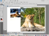 Photoshop  - Collage di foto in prospettiva - tutorial italiano