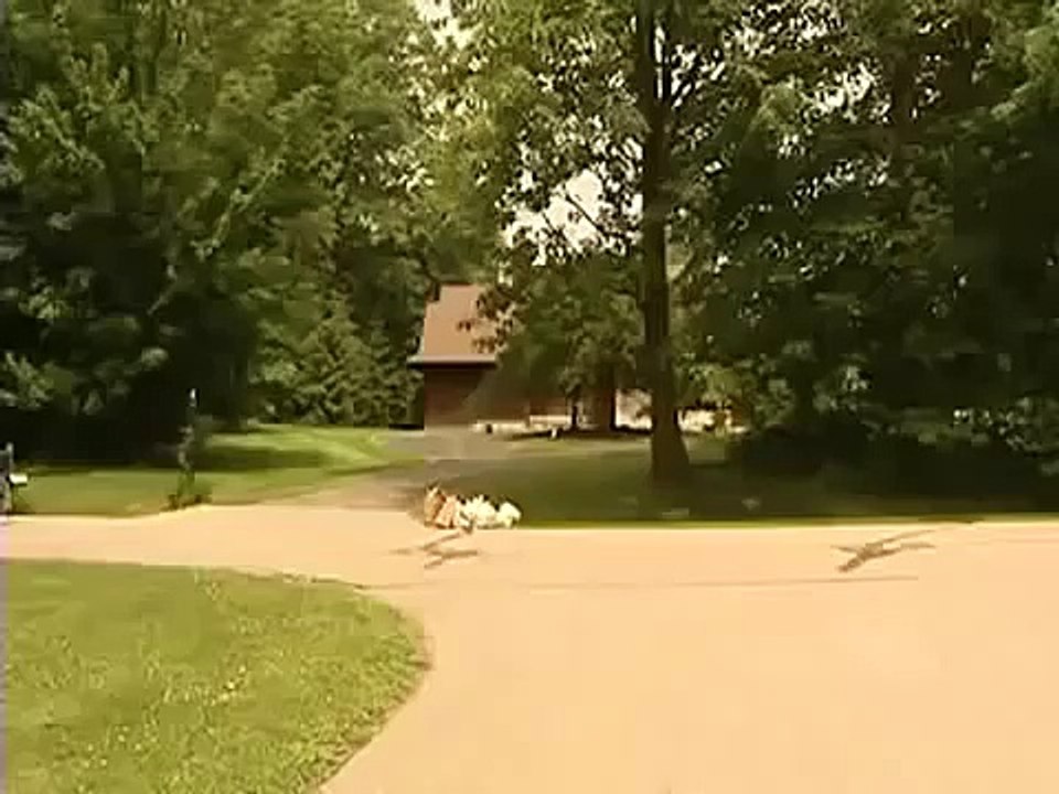 Amazing Bear Recreation!