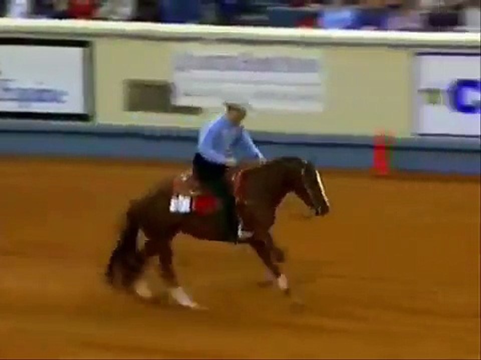 Reining Remix - it's my life