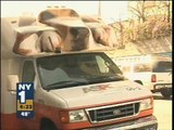 I Love NYC Pets (NY1 covers ASPCA Adoption Event)