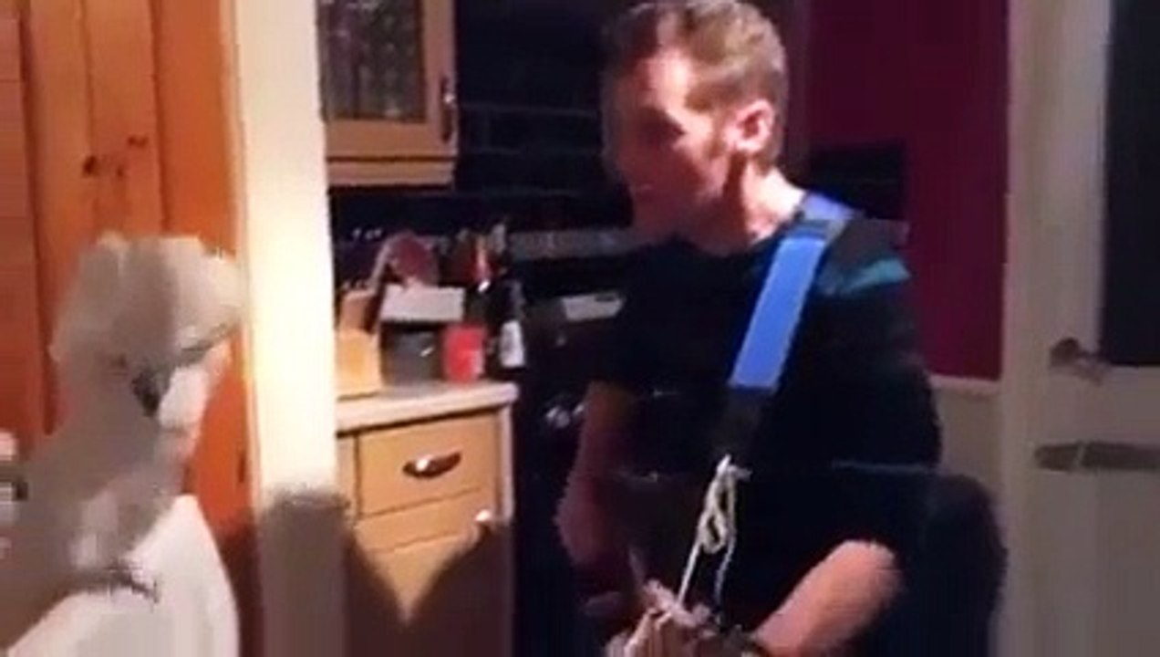 Parrot dancing to guitar